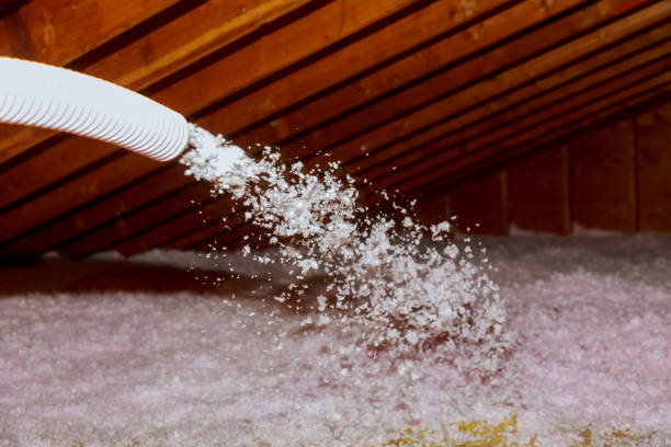 Best Energy-efficient Insulation  in Albion, PA