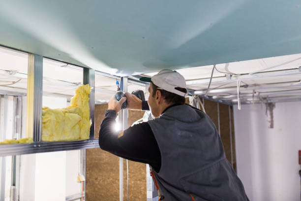 Best Fiberglass Insulation  in Albion, PA