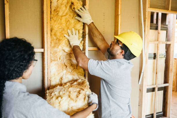 Best Garage Insulation Installation  in Albion, PA