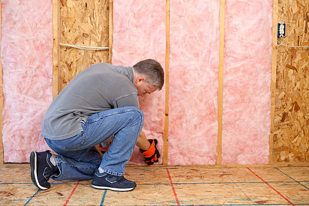 Best Insulation Replacement Services  in Albion, PA