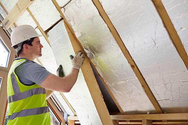 Best Crawl Space Insulation  in Albion, PA